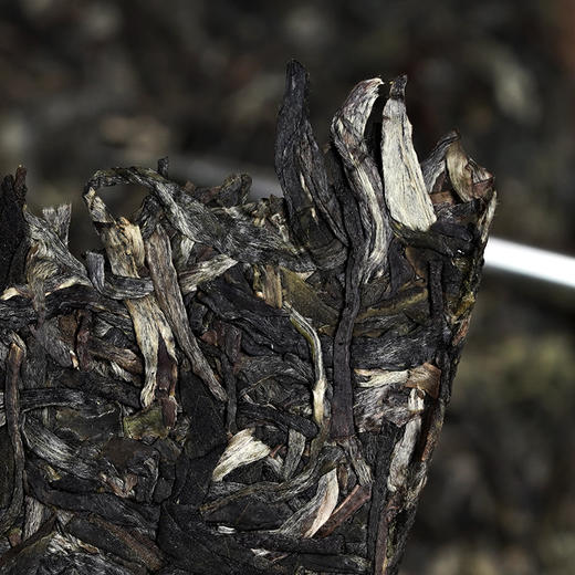 10月7日晚20点【茶马古道】普洱茶生茶云南易武倚邦核心产区，茶人心中的君子茶，500克/砖 拍4发6拍20发32 商品图4