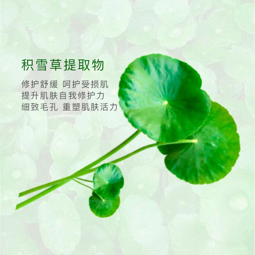 花渐 积雪草沁润冻膜 微店福利（天猫79.9元） 商品图3