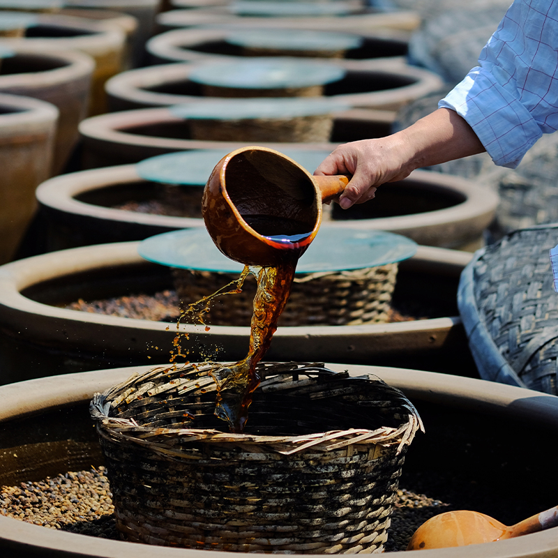 传统红烧酱油 一年一酿造红烧上色增香添味不含防腐剂