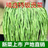 无叶贡菜苔干苔菜农家土特产脱水蔬菜干响菜饭店 批发250-500g 商品缩略图1