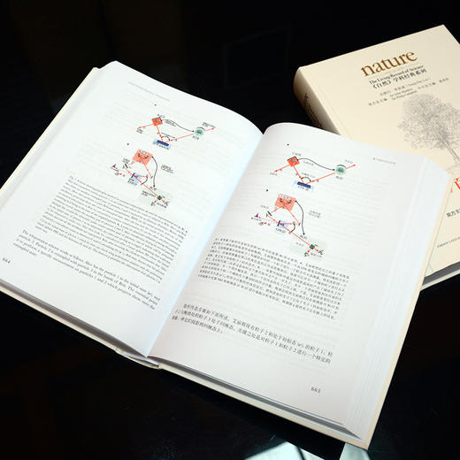 《自然》百年物理经典(套装共两卷) 商品图8