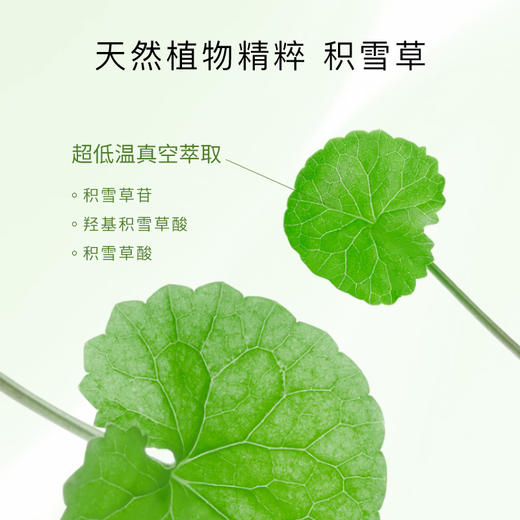 花渐 积雪草沁润冻膜 微店福利（天猫79.9元） 商品图5