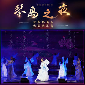 《琴岛之夜》二楼门票