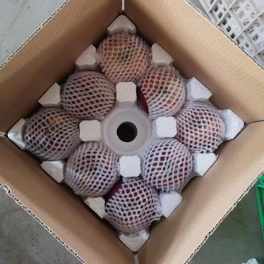 四川大凉山盐源丑苹果，糖分足，脆爽多汁，果味丰富浓郁，甜中带微果酸 商品图3