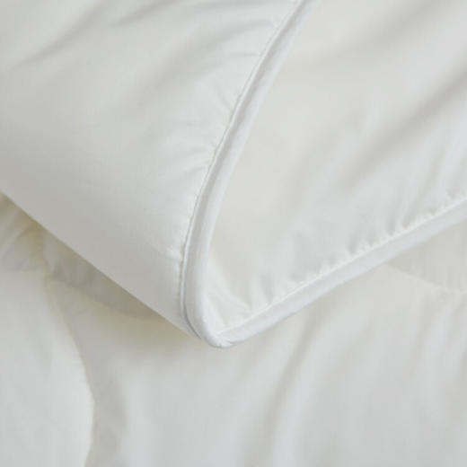 梦洁家纺  磨毛被芯双人    新西兰羊毛被-四季被 200*230 1000g 商品图2