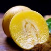 攀枝花红土地树上熟人参果 净重3-5斤装 甄选品质果 果香浓郁 汁水丰沛 黄肉圆果新鲜水果 商品缩略图12