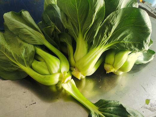 黑大头青菜（400g） 商品图3