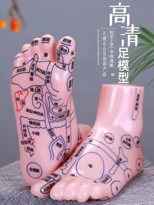 脚底按摩点穴足疗经络模型 20cm 商品图3