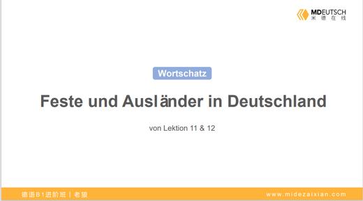 【词汇】节日&在德国的外国人丨L11-12 商品图0