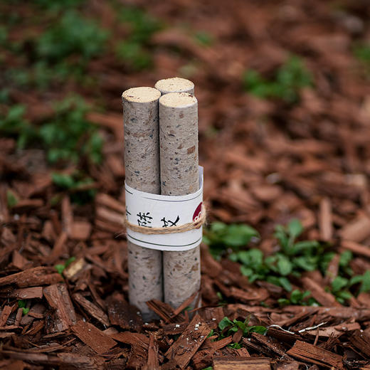 桑皮纸3cm三年陈20:1艾条 商品图3