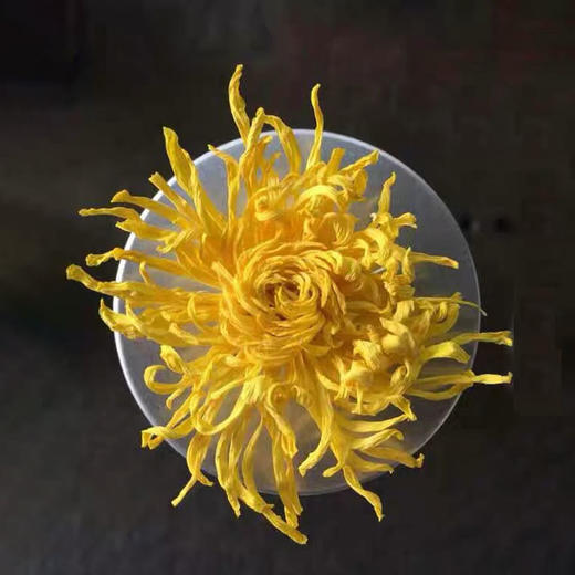 【仅剩10份】东篱下黄金甲12g-（效期至26年6月25日）-专享价 商品图2