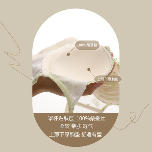 金三塔悸动花期法式蕾丝刺绣内衣女小胸聚拢撞色真丝文胸薄套装 NZFDA397 商品图4