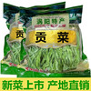 无叶贡菜苔干苔菜农家土特产脱水蔬菜干响菜饭店 批发250-500g 商品缩略图0