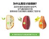 FOSA智能真空保鲜罐防潮密封奶粉盒宝宝辅食罐茶叶杂粮收纳保鲜盒 商品缩略图1