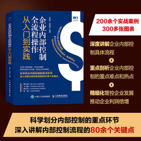 企业内部控制全流程操作从入门到实践 企业管理财务会计风险防控书籍主要风险点企业内部管理精细化管理