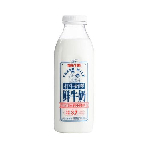 菊乐 打牛奶啰 每100ml含3.6g优质乳蛋白 鲜牛奶 900ml（瓶） 商品图2