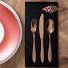 【仅样品】villeroyboch德国唯宝进口生活西餐刀叉勺 304不锈钢精致家用匠心刀叉16件套 商品缩略图2