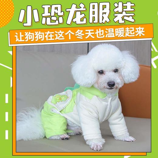 新款宠物小恐龙衣服 加绒加厚 秋冬连帽棉衣棉服四脚 商品图0