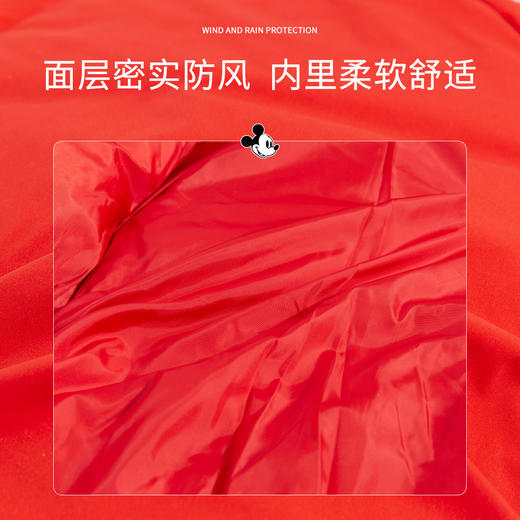 【商场同款】迪士尼童装冬季新品儿童保暖羽绒服男童撞色拼接连帽外套214DS0234 商品图7