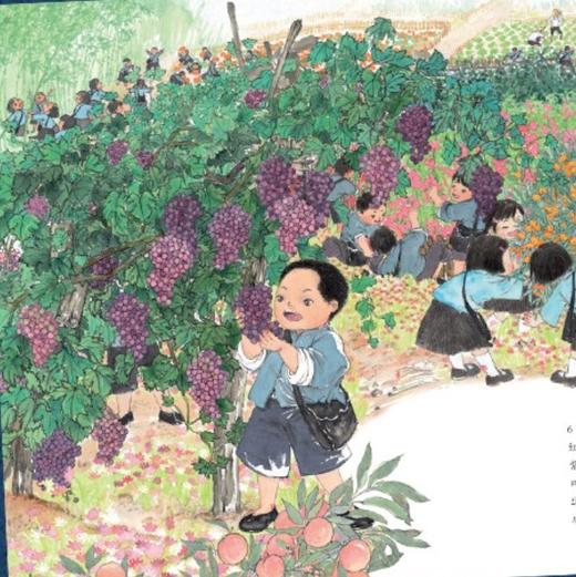 “共和国脊梁”科学家绘本丛书（第一辑）共8册 商品图11