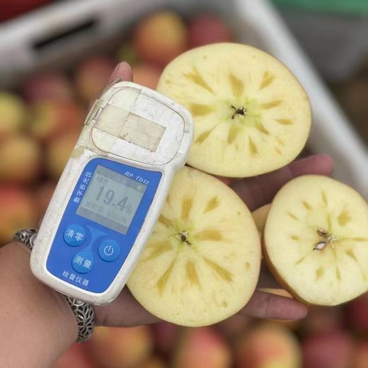 【大凉山糖心丑苹果】来自四川大凉山高山种植的丑苹果，酥脆多汁，口感甘甜，甜而不腻 商品图3