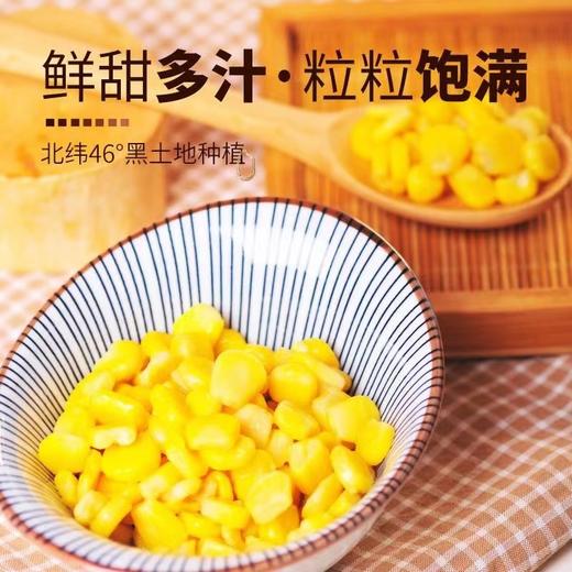 亲耕  即食脱皮玉米粒  辅食甜糯水果玉米果肉60g*10袋 商品图2