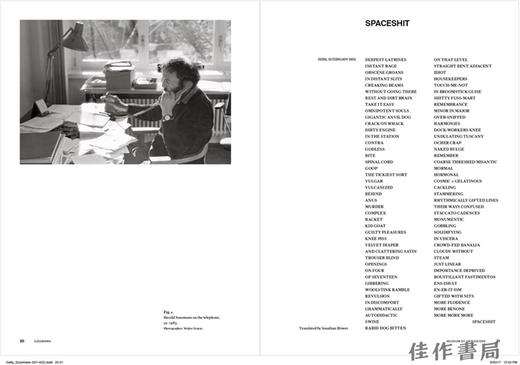 Harald Szeemann - Selected Writings/赫拉德·史泽曼：精选文集 商品图1