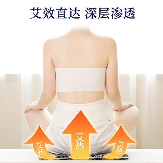 【电加热艾绒坐垫！双档控温】电加热艾绒坐垫 艾草热敷坐垫 居家办公艾草坐垫 艾绒屁股垫。ry 商品图2