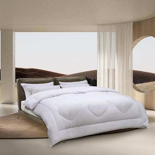 水星家纺DH杜桑抗菌四季被123198 商品图1