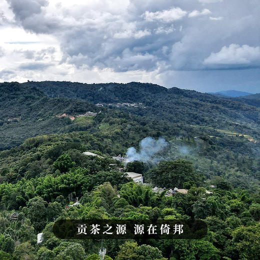 10月7日晚20点【茶马古道】普洱茶生茶云南易武倚邦核心产区，茶人心中的君子茶，500克/砖 拍4发6拍20发32 商品图1