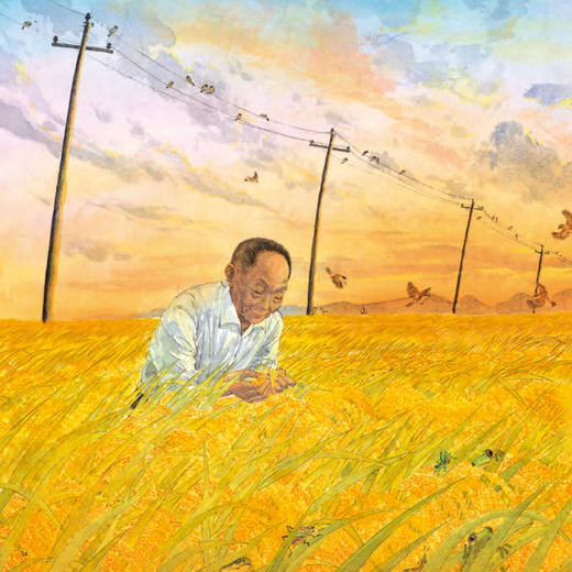 “共和国脊梁”科学家绘本丛书（第一辑）共8册 商品图8