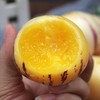 攀枝花红土地树上熟人参果 净重3-5斤装 甄选品质果 果香浓郁 汁水丰沛 黄肉圆果新鲜水果 商品缩略图11