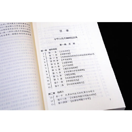 中华人民共和国民法典（实用版）中国法制出版社 商品图1