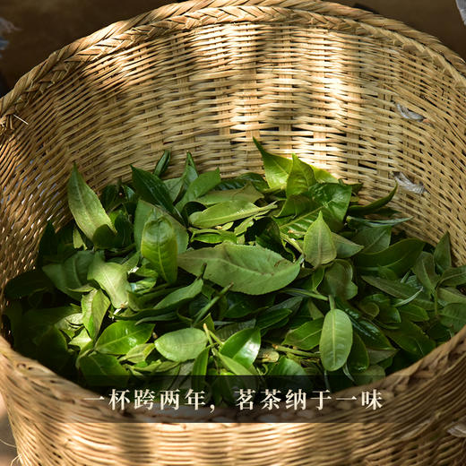 【冰岛老寨】书法大师邹方臣题字，2021年与2022年跨两年冰岛老寨拼配，一杯横跨两年，357克/饼 商品图6