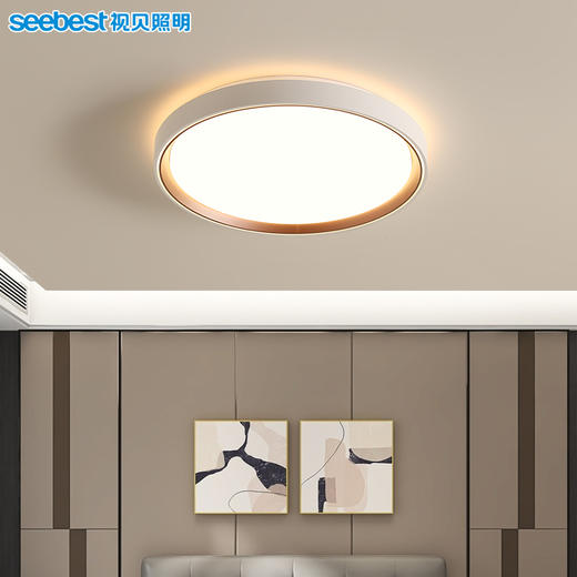 熙烨圆-卧室灯 商品图3