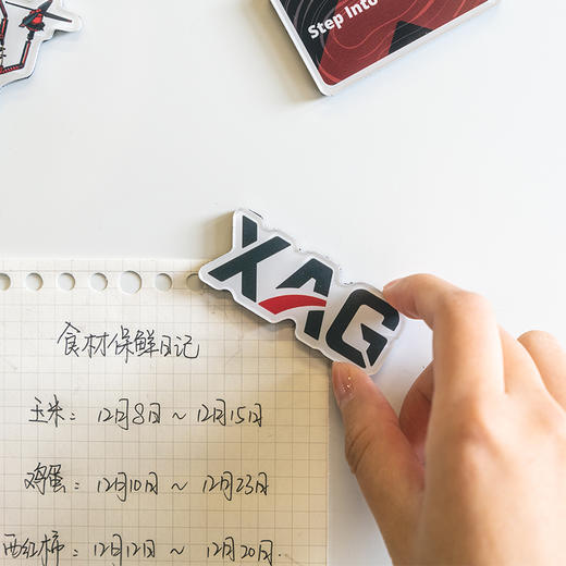 XAG  创意冰箱贴 商品图1