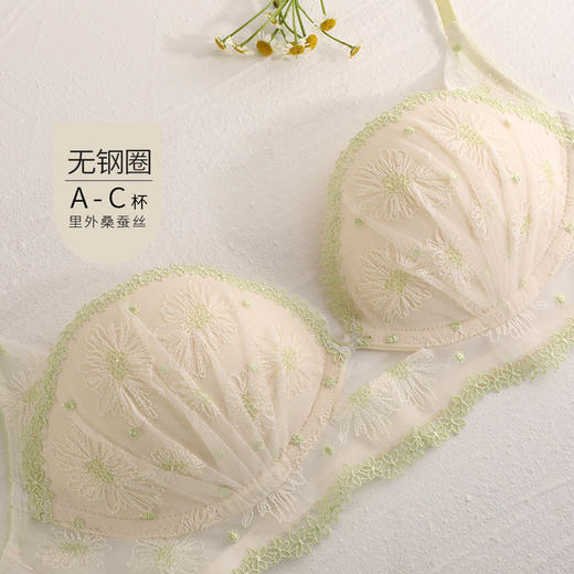 金三塔悸动花期法式蕾丝刺绣内衣女小胸聚拢撞色真丝文胸薄套装 NZFDA397 商品图1
