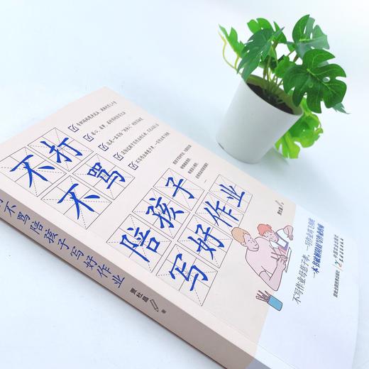 不打不骂陪孩子写好作业【一本书破解陪娃写作业的问题】 商品图1