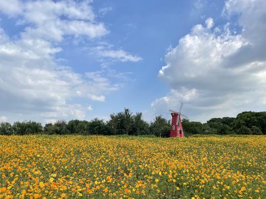 【烧烤套餐】78元/人，4人起订，预定烧烤套餐赠景区门票，需提前一天预约！ 商品图1