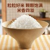 必品阁番茄鸡肉咖喱饭（自热方便米饭）250g 2盒 商品缩略图1