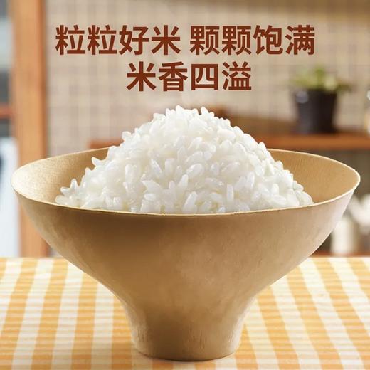 必品阁番茄鸡肉咖喱饭（自热方便米饭）250g 2盒 商品图1