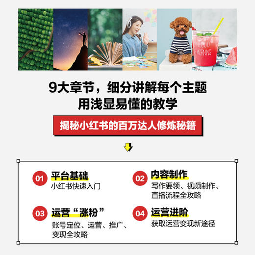 小红书达人实操攻略 内容策划视频制作直播带货运营变现 5小时吃透小红书运营操作指南互联网自媒体运营实战书短视频图文案制作 商品图2