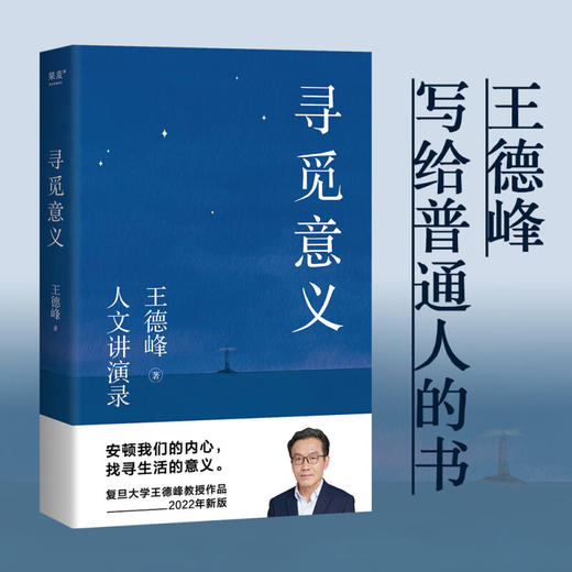 寻觅意义 王德峰 著 社会科学 商品图1