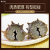 御元昌礼盒装淡干开口辽参（免清洗）250g/盒 商品缩略图0