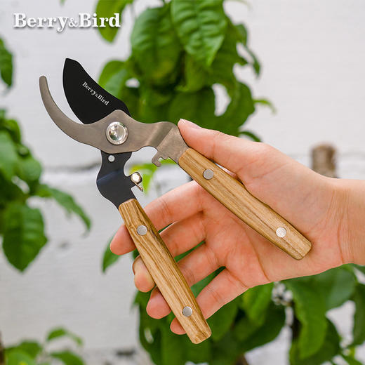 Berry&Bird木柄修枝剪 商品图4
