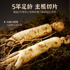 杞里香西洋参礼盒送礼切片小罐装花旗参片官方旗舰店156g（13g*12罐）14-16mm 商品缩略图3
