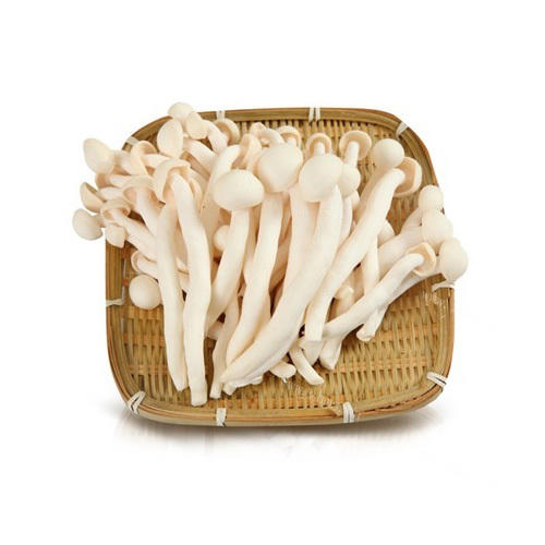 白玉菇 1包 商品图0