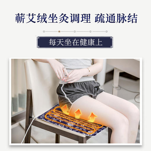 【电加热艾绒坐垫！双档控温】电加热艾绒坐垫 艾草热敷坐垫 居家办公艾草坐垫 艾绒屁股垫。ry 商品图1