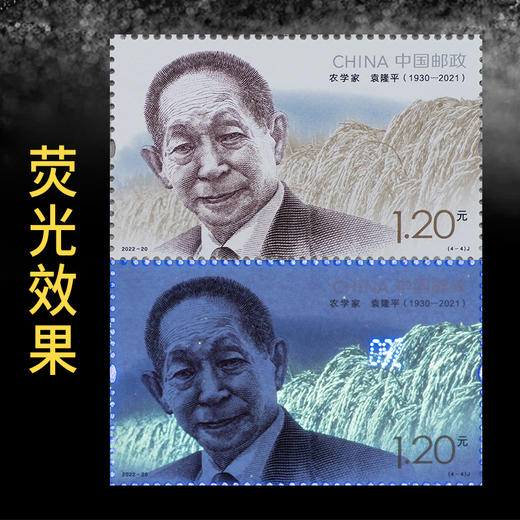 【中国邮政】中国现代科学家系列第九组·整版邮票册 商品图3