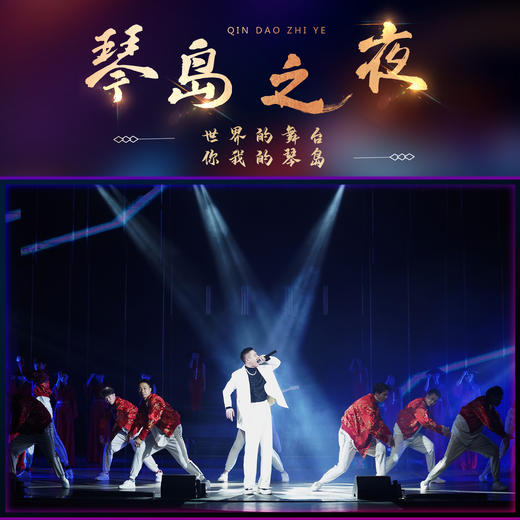 《琴岛之夜》一楼AB区门票（开演特惠价） 商品图2